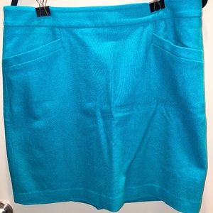 Ann Taylor Wool Skirt